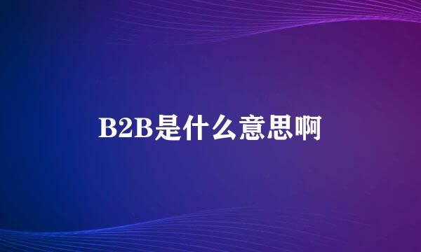 B2B是什么意思啊