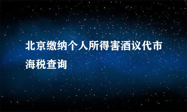 北京缴纳个人所得害酒议代市海税查询