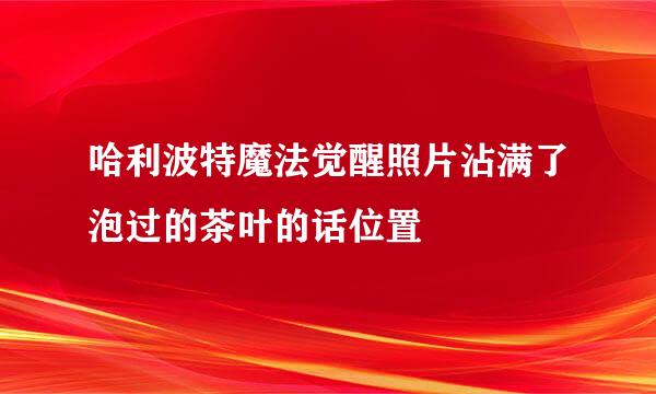 哈利波特魔法觉醒照片沾满了泡过的茶叶的话位置