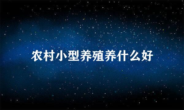 农村小型养殖养什么好