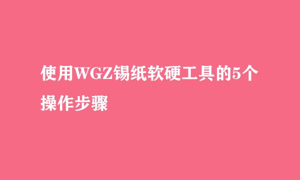 使用WGZ锡纸软硬工具的5个操作步骤