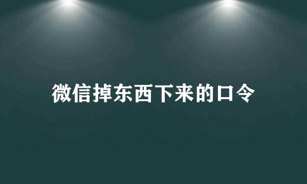 微信掉东西下来的口令