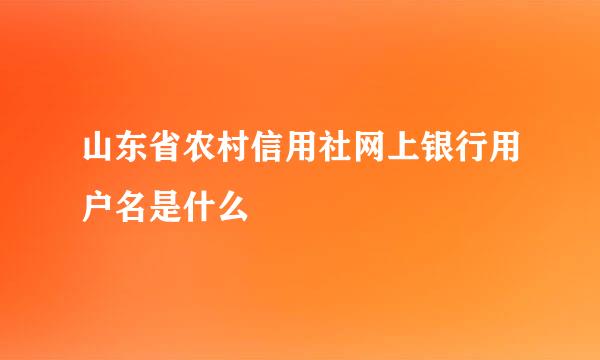 山东省农村信用社网上银行用户名是什么