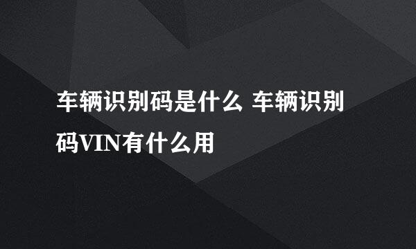 车辆识别码是什么 车辆识别码VIN有什么用