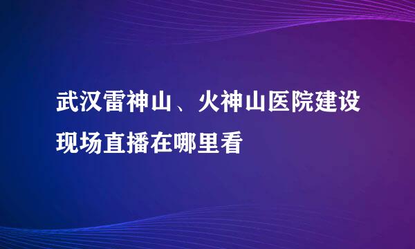 武汉雷神山、火神山医院建设现场直播在哪里看