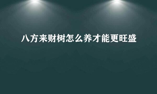 八方来财树怎么养才能更旺盛