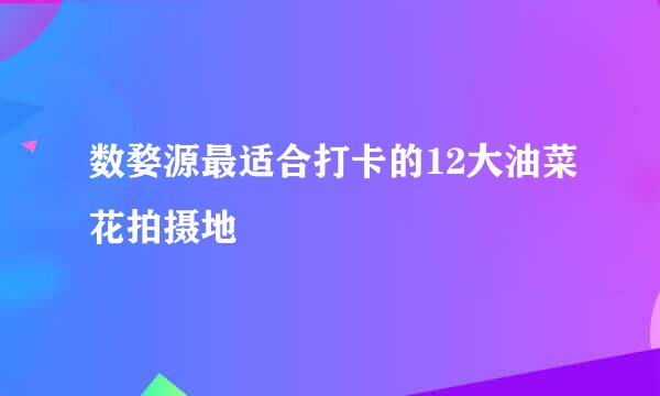 数婺源最适合打卡的12大油菜花拍摄地