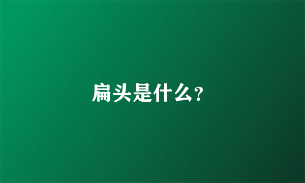 扁头是什么？