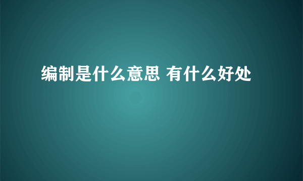 编制是什么意思 有什么好处