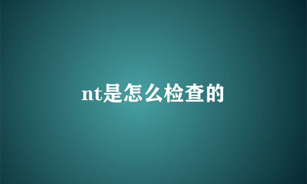 nt是怎么检查的