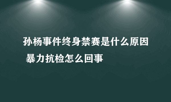 孙杨事件终身禁赛是什么原因 暴力抗检怎么回事