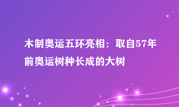 木制奥运五环亮相：取自57年前奥运树种长成的大树