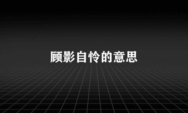 顾影自怜的意思