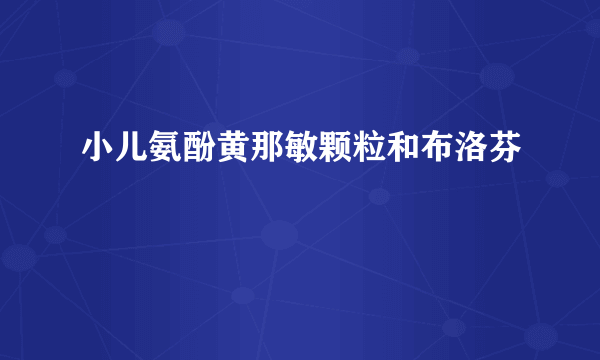 小儿氨酚黄那敏颗粒和布洛芬