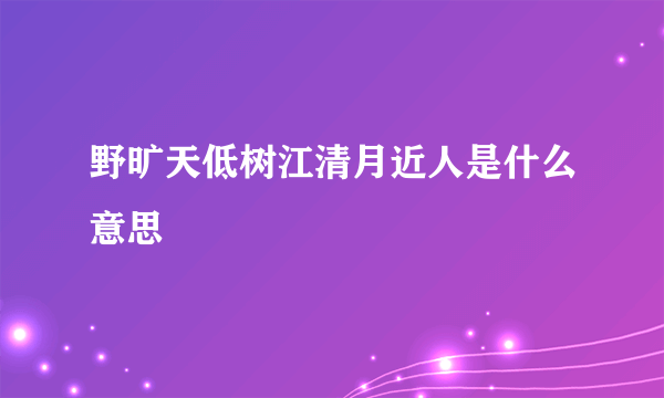 野旷天低树江清月近人是什么意思