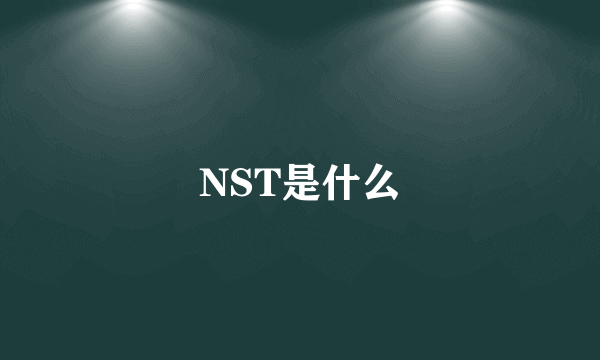 NST是什么