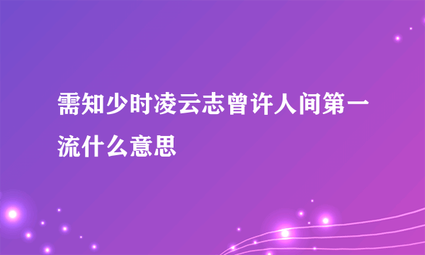 需知少时凌云志曾许人间第一流什么意思