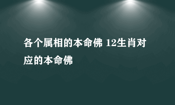 各个属相的本命佛 12生肖对应的本命佛