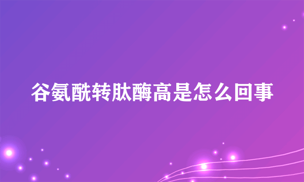 谷氨酰转肽酶高是怎么回事