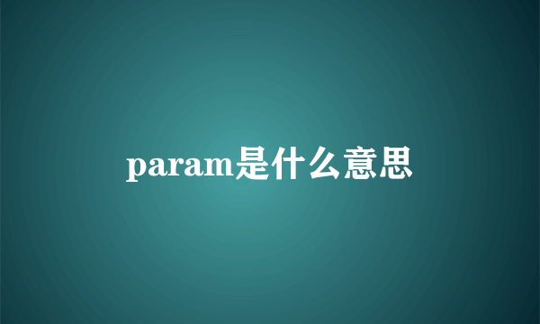 param是什么意思