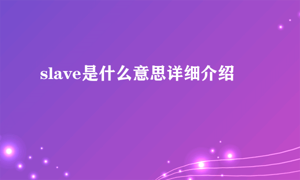 slave是什么意思详细介绍