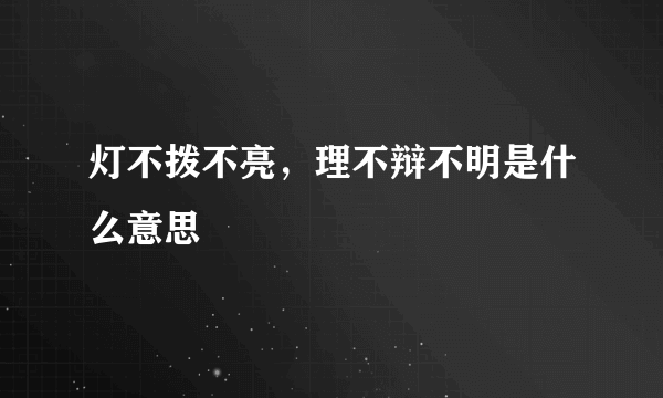 灯不拨不亮，理不辩不明是什么意思