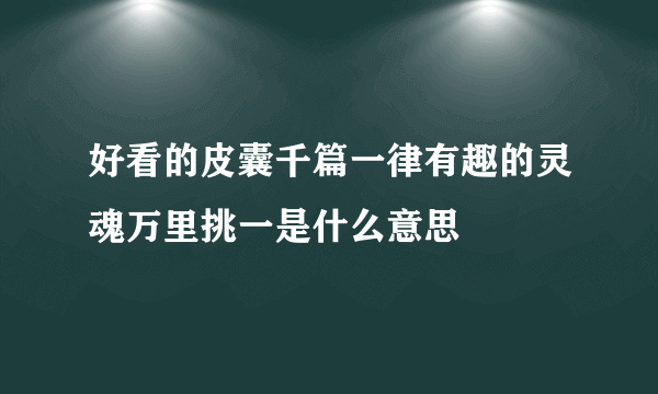 好看的皮囊千篇一律有趣的灵魂万里挑一是什么意思