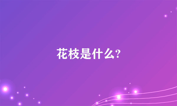 花枝是什么?