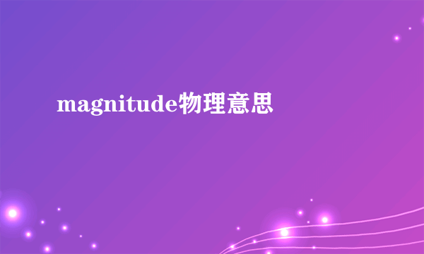 magnitude物理意思