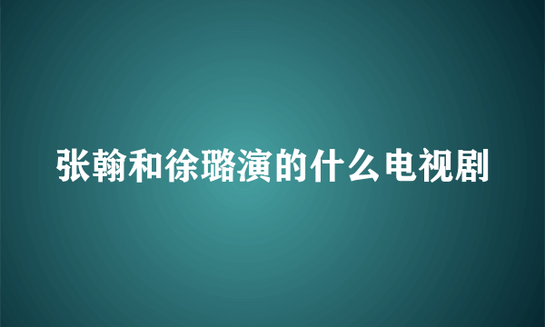 张翰和徐璐演的什么电视剧