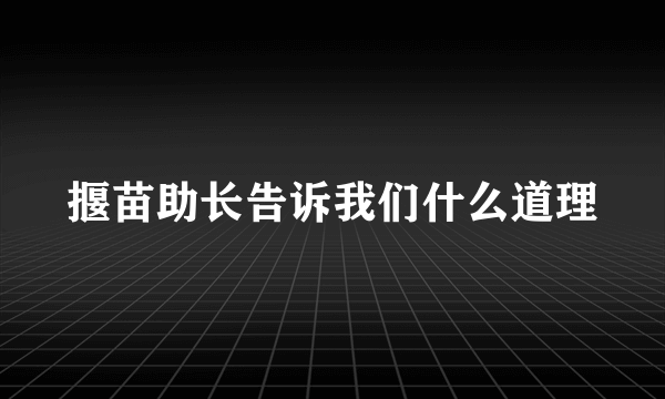 揠苗助长告诉我们什么道理