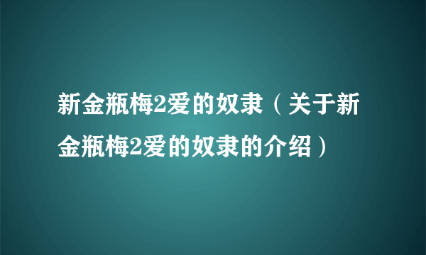 新金瓶梅2爱的奴隶（关于新金瓶梅2爱的奴隶的介绍）