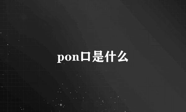 pon口是什么