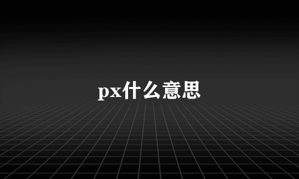 px什么意思