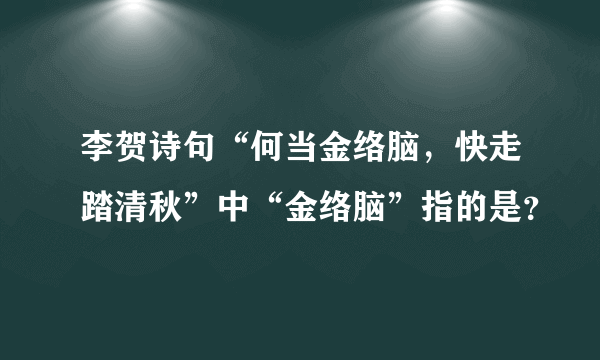 李贺诗句“何当金络脑，快走踏清秋”中“金络脑”指的是？