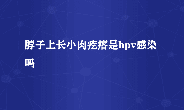 脖子上长小肉疙瘩是hpv感染吗