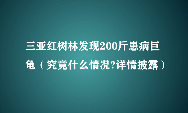 三亚红树林发现200斤患病巨龟（究竟什么情况?详情披露）