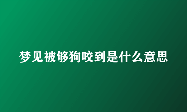 梦见被够狗咬到是什么意思