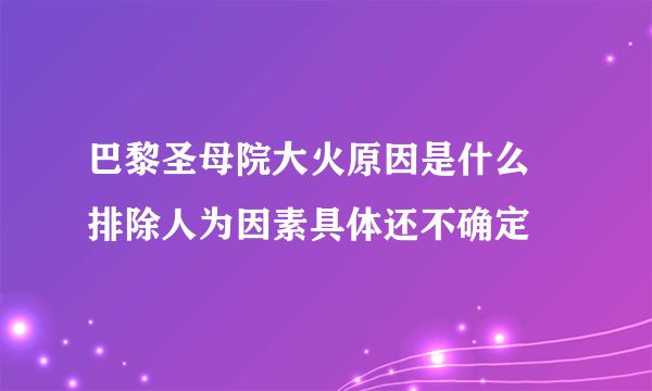 巴黎圣母院大火原因是什么 排除人为因素具体还不确定