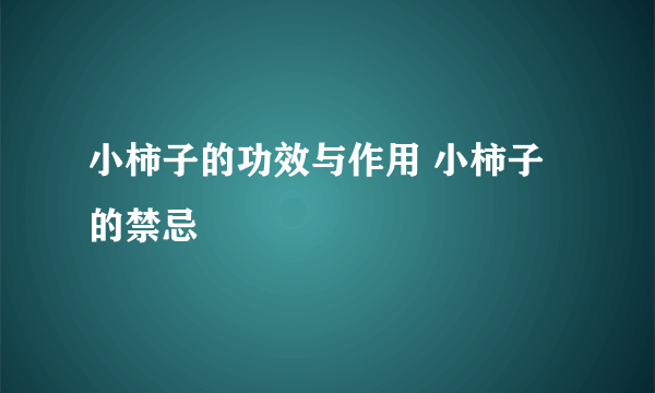 小柿子的功效与作用 小柿子的禁忌