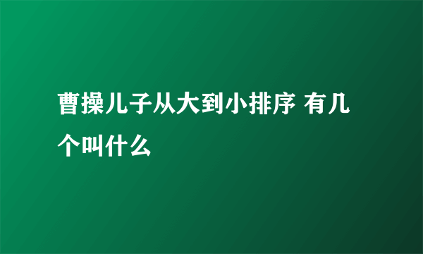 曹操儿子从大到小排序 有几个叫什么