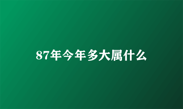 87年今年多大属什么