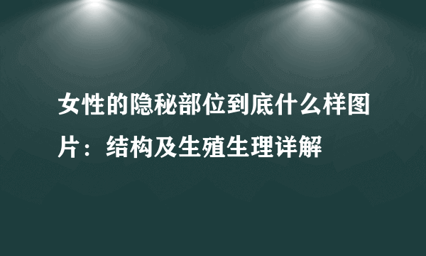 女性的隐秘部位到底什么样图片：结构及生殖生理详解