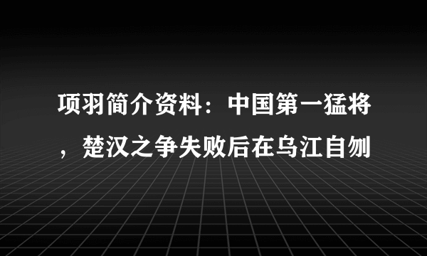 项羽简介资料：中国第一猛将，楚汉之争失败后在乌江自刎