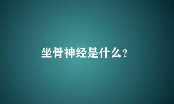 坐骨神经是什么？