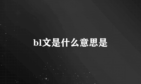 bl文是什么意思是