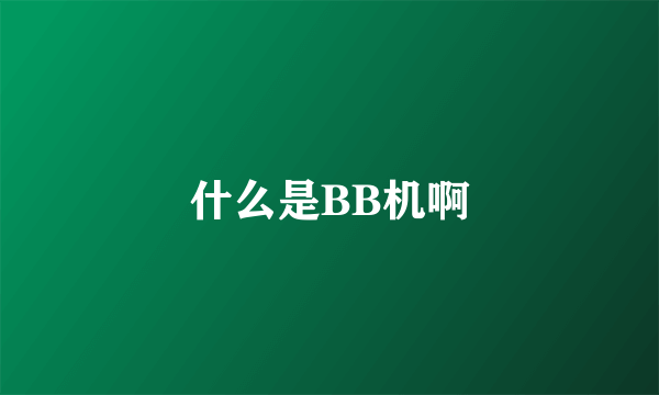 什么是BB机啊