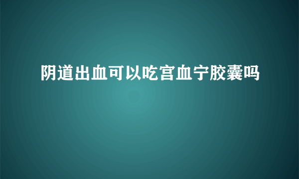 阴道出血可以吃宫血宁胶囊吗