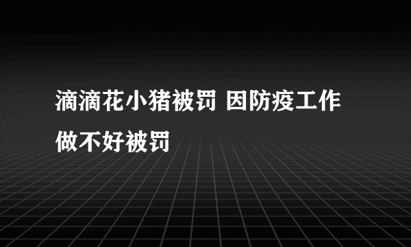 滴滴花小猪被罚 因防疫工作做不好被罚