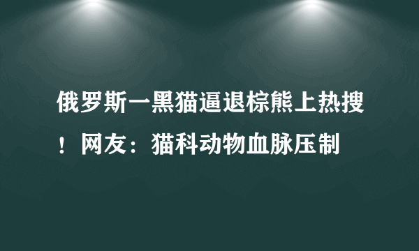 俄罗斯一黑猫逼退棕熊上热搜！网友：猫科动物血脉压制